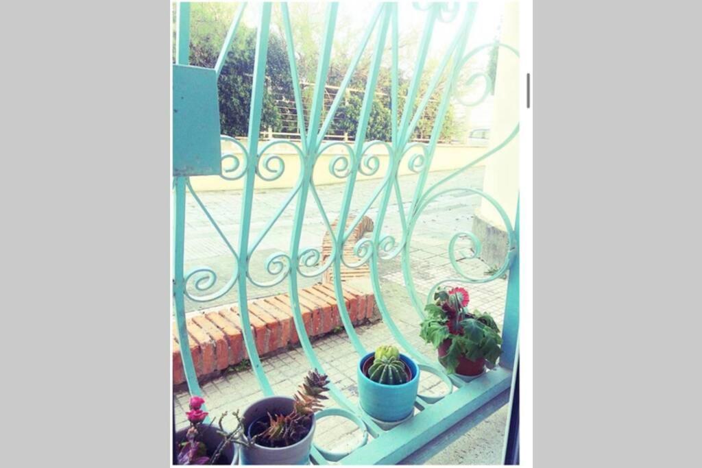 Апартаменти Cosy Studio Flat On The Seaside Лідо-ді-Остія Екстер'єр фото